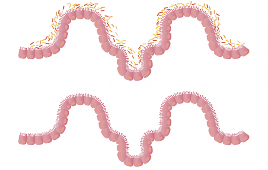 Transilvania Healing Centre, Medicina Bioelectromagnetica