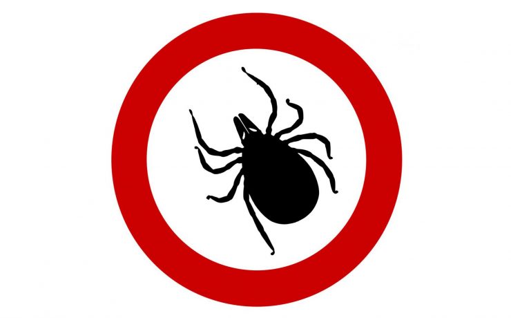 Medicina Integrativă - Abordarea Completă a Sănătății Tale