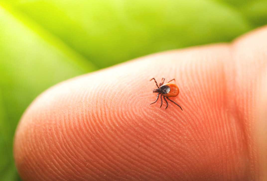 Medicina Integrativă - Abordarea Completă a Sănătății Tale