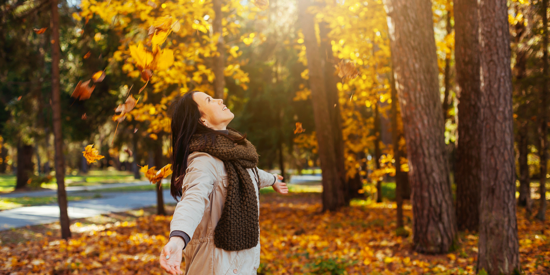 Inamicii de toamna - Transilvania Healing Center