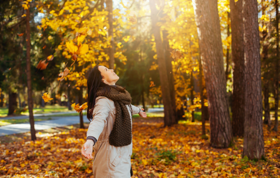 Inamicii de toamna - Transilvania Healing Center