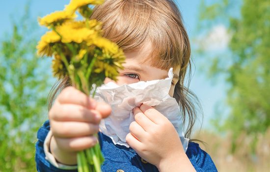 Medicina Integrativă - Abordarea Completă a Sănătății Tale