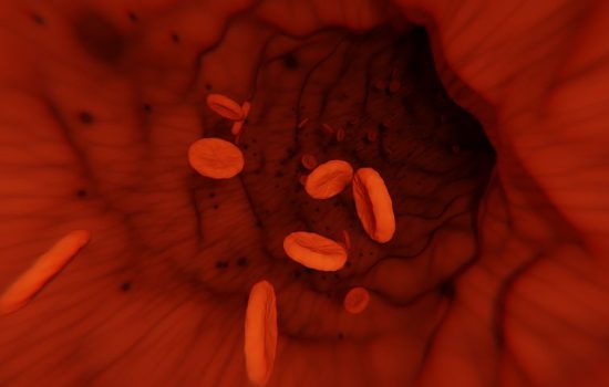 Ganglioni limfatici buni = sistem imunitar eficient - THC