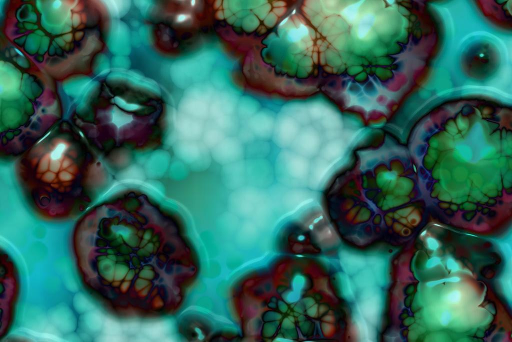 Paraziții. Prevenția și eliminarea - Transilvania Healing