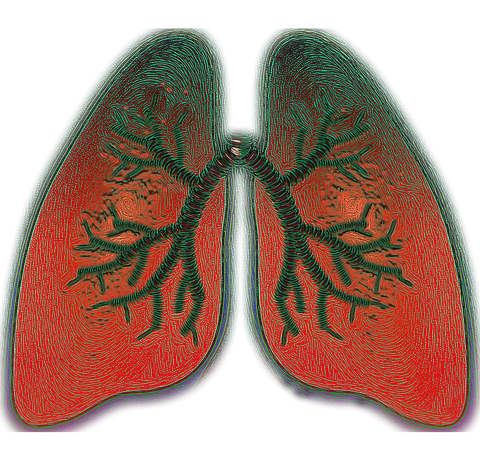 Terapii pentru ameliorarea simptomelor, pacientii astmatici
