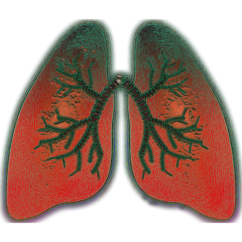 Terapii pentru ameliorarea simptomelor, pacientii astmatici