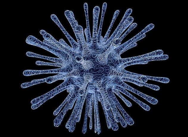 Rinovirusul - Transilvania Healing Center