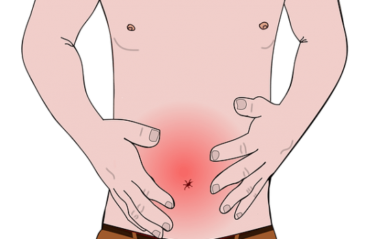 Ascarizii - Inamicii ascunsi in tractul intestinal