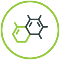 Medicina Integrativă - Abordarea Completă a Sănătății Tale