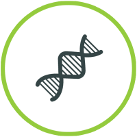 Medicina Integrativă - Abordarea Completă a Sănătății Tale