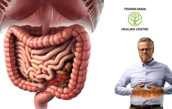 Optimizați Sănătatea Digestivă - Soluții Pentru Armonie și Confort cu
