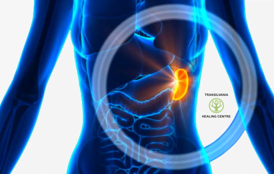 Tumorile Imagini inspiraționale despre lupta împotriva cancerului