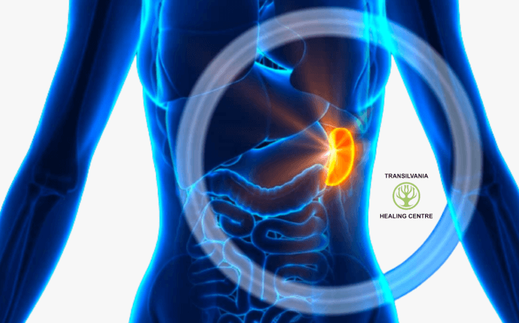 Tumorile Imagini inspiraționale despre lupta împotriva cancerului