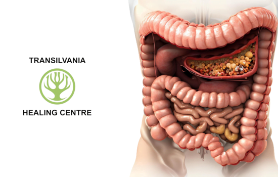 Îmbunătățiți Sănătatea Intestinală - Soluții Pentru Refacerea Eficientă