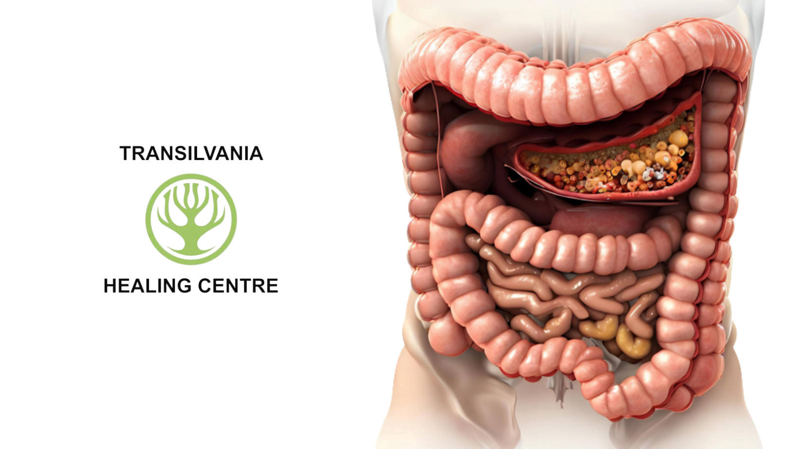 Îmbunătățiți Sănătatea Intestinală - Soluții Pentru Refacerea Eficientă