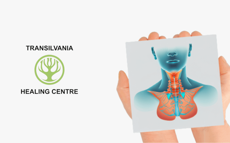 Terapia Explorați Tiroida Hashimoto - Imagini și Ilustrații Relevante